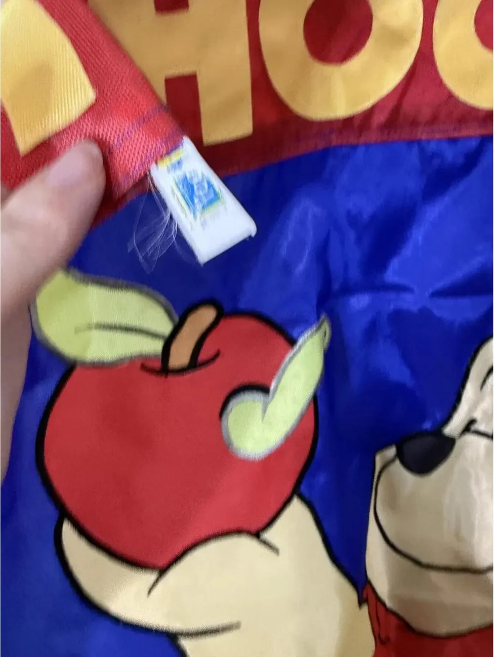 Vintage Winnie the Pooh School Days Decorative Flag